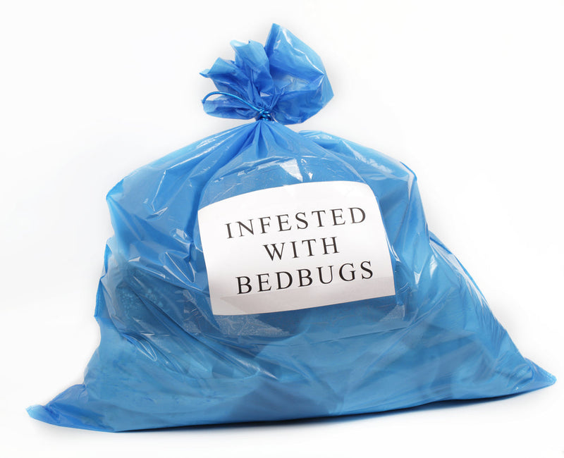 Bag of clothing and bedding infested with bed bugs