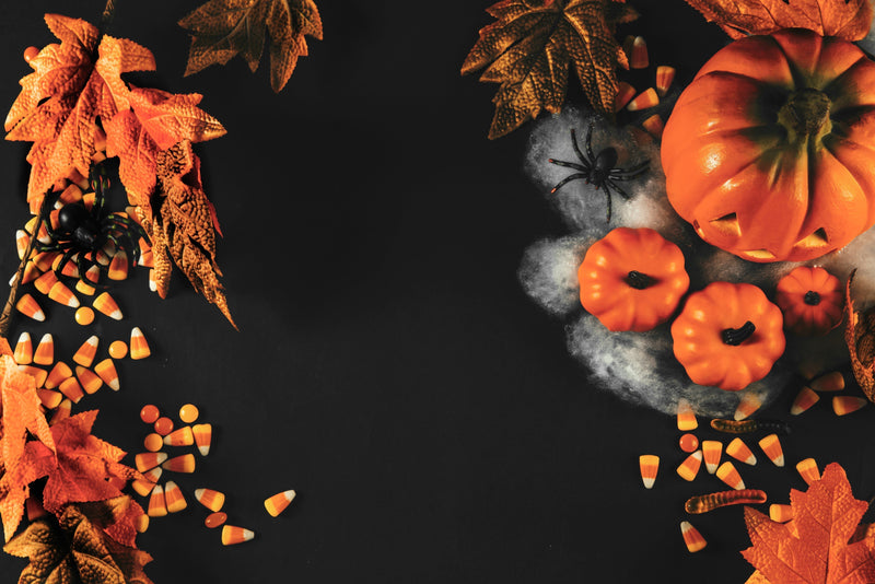Prevent scary surprises. Don’t bring Halloween pests indoors