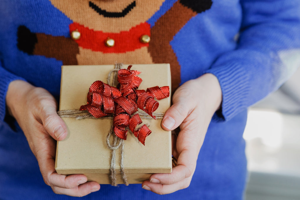 Holiday guests are arriving. What if they bring bed bugs with them?