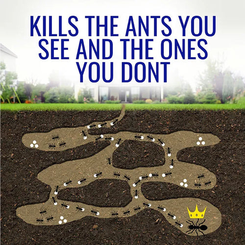 TERRO® Liquid Ant Killer, 2oz