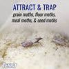 TERRO® Pantry Moth Traps (2/Pkg)